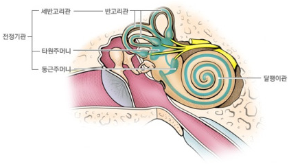  [구미 감각통합] 빙글빙글 도는 것을 좋아하는 우리 아이 왜 그런 걸까요?
