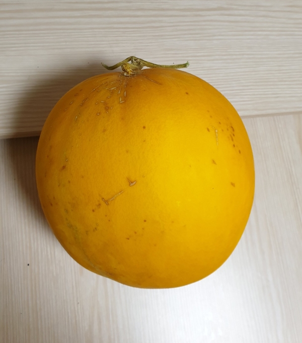  수신메론 넘나 맛있는 과일!