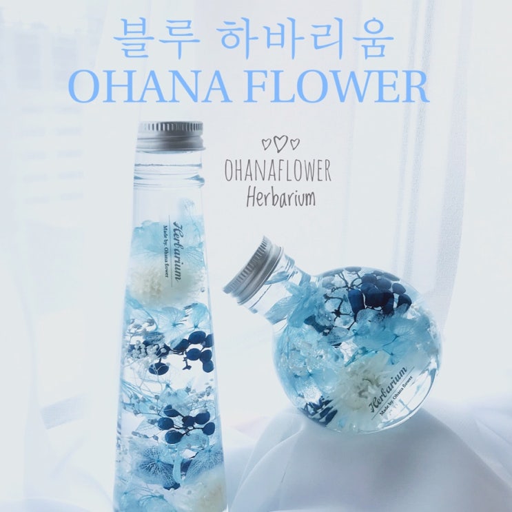  [부산하바리움] 20살이된 동생을 위한 하바플라리움/ 하바리움 - 부산 수영 광안 일본하바리움협회 JHA 디플로마 인정클래스 오하나플라워