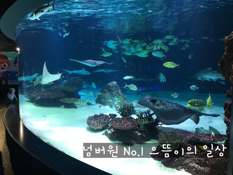  [일상]엄마랑 여의도 타임스퀘어, ifc몰, 63빌딩 데이트