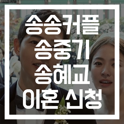  [송송커플 = 송중기+송혜교] 이혼 절차 진행