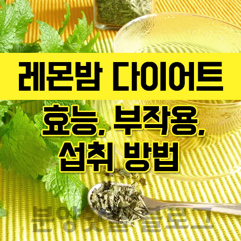  레몬밤 효능과 부작용,먹는법 나르샤다이어트
