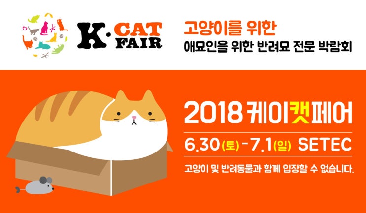  2019 케이캣페어