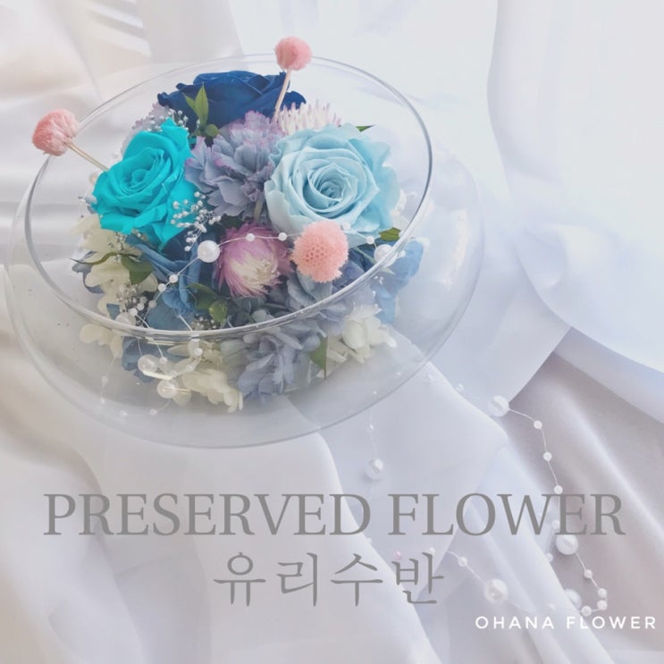  [부산프리저브드플라워] 프리저브드플라워 자격증 클래스 심화반/ 시원한 유리수반 여름 인테리어 집들이선물 / 부산 수영 광안 프리저브드플라워 전문 오하나플라워