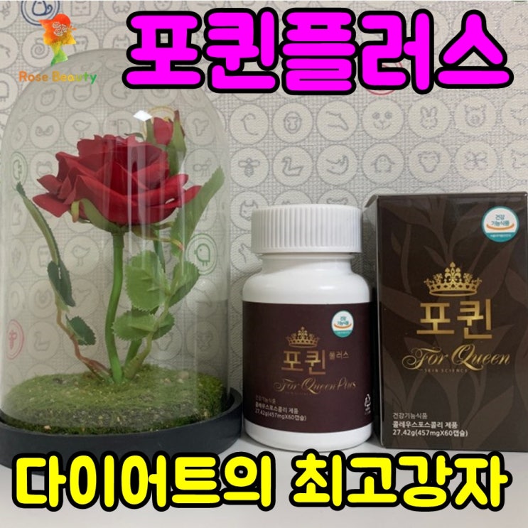  포퀸플러스 다이어트~역대급 최강으로 다이어트 마무리하시죠^^