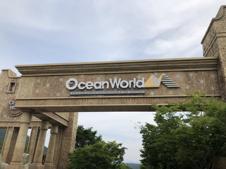  [워터파크] 오션월드 할인으로 여름 나기