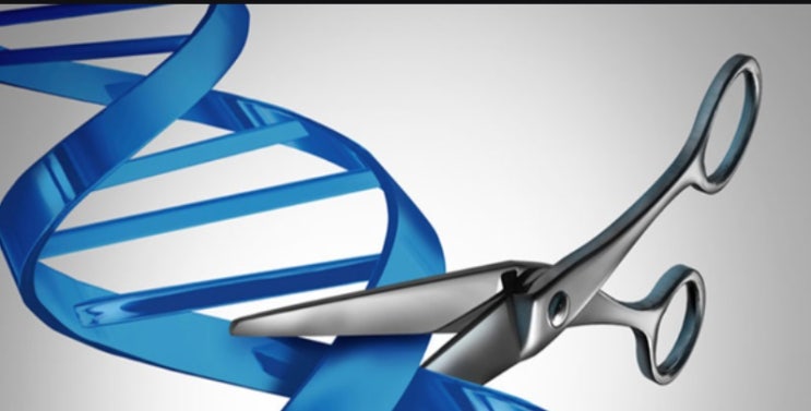  툴젠 투자를 접으며