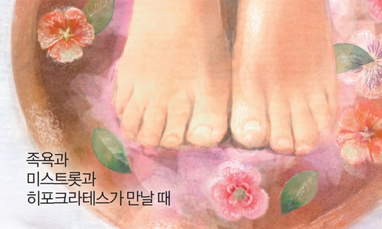  김재원 칼럼 "족욕과 미스트롯과 히포크라테스가 만날 때"