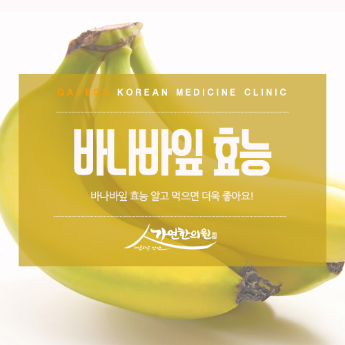  바나바잎 효능 당뇨에 좋아요