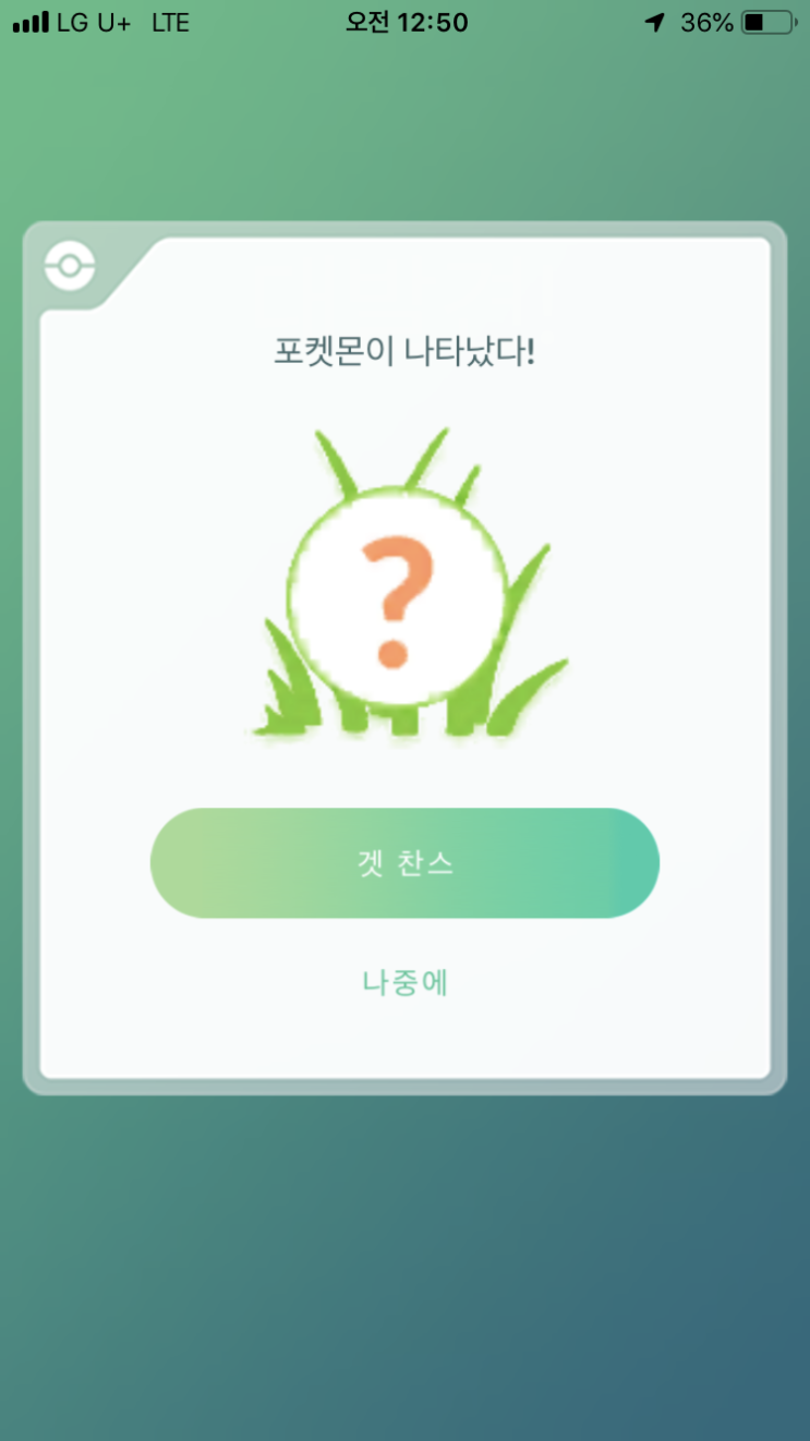  이번주 필드리서치 보상