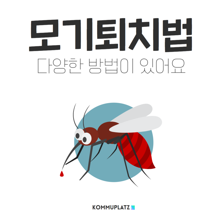  모기퇴치법과 대처법, 잡는법 알아보기 여름철 모기 퇴치 천연 모기약 좋은 방법은?