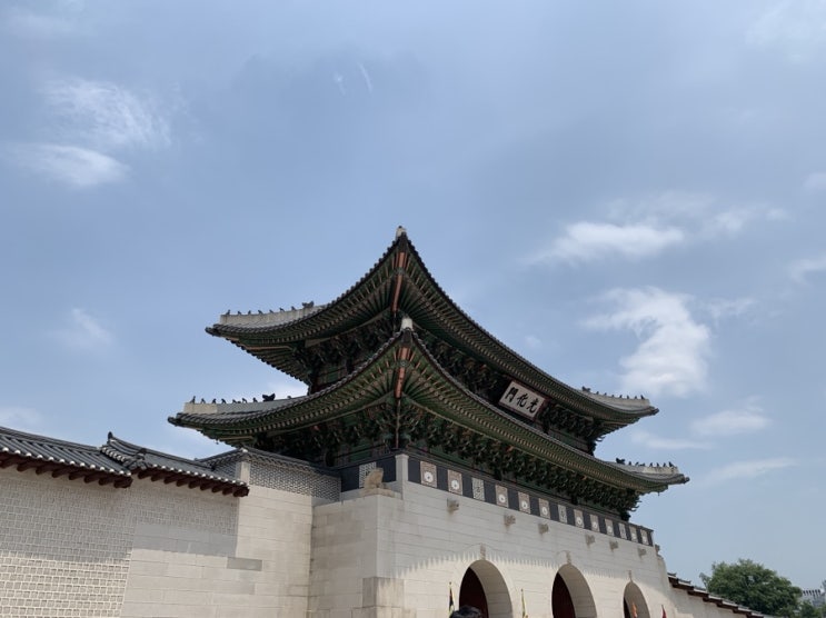  5월 마지막, 6월 첫째주 일상일기