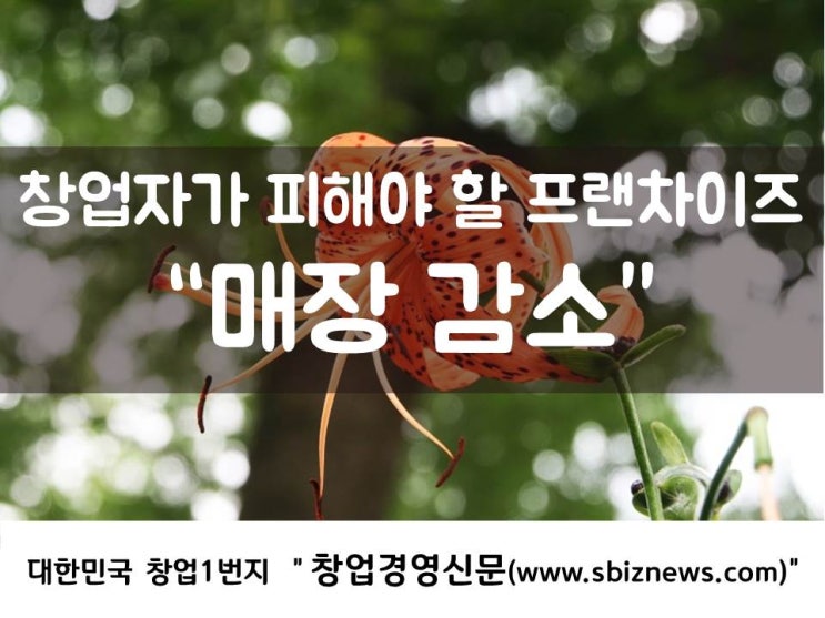  창업자가 피해야 할 프랜차이즈 “매장 감소”