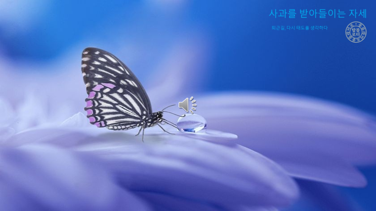  [한 줄 좋은 글] 사과를 받아들이는 자세