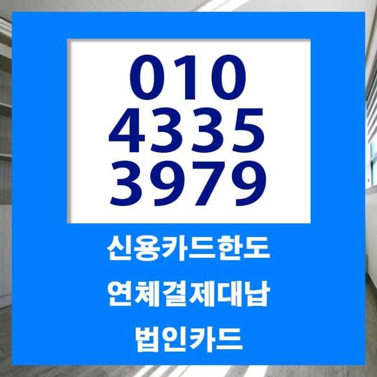  카드대납대출 부여 마산 잔여 한도 업체 이렇게 빨라도 되나요?