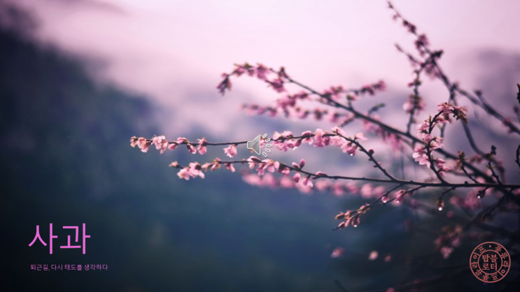  [한 줄의 좋은 글] 사과