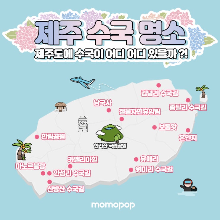  제주도 수국축제는 7월까지 쭈~욱! 제주도로 떠나요