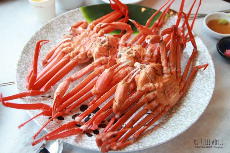  대전대게무한리필 붉은대게 탈탈 털고 옴
