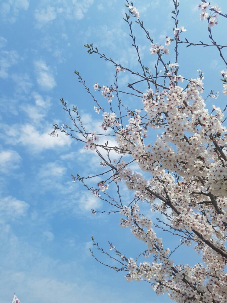 오랜만에 사진첩 탈탈(2019년 상반기 근황)