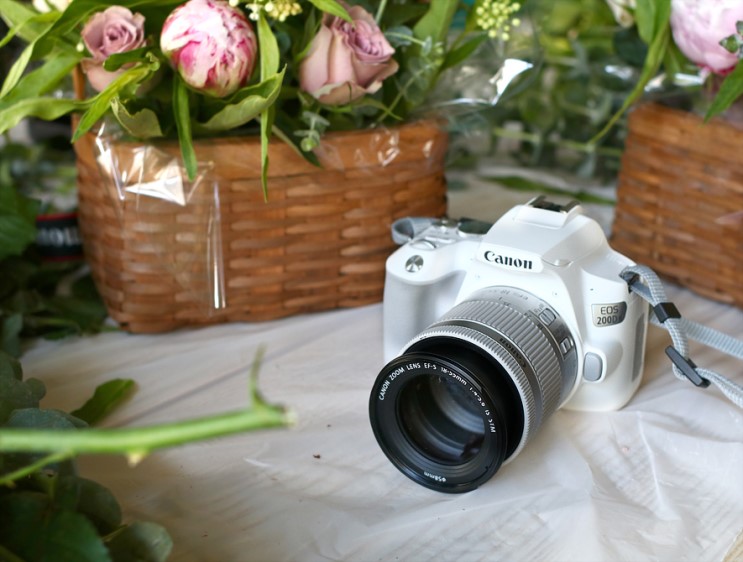 캐논 EOS 200D 2 꽃사진 클래스 테스트샷 방출!
