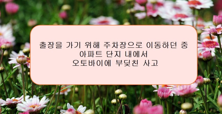  산재판례 - 출퇴근중사고/교통사고   대구노무법인L&B