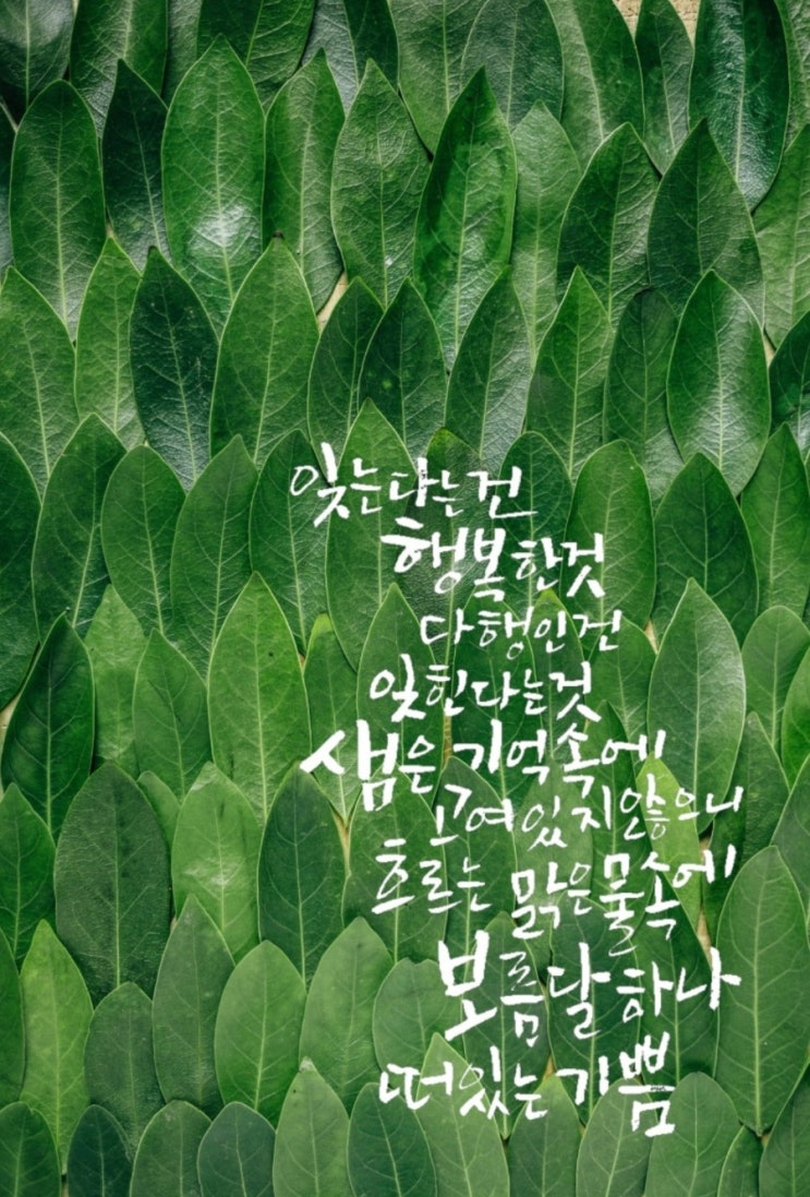  時中26 샘