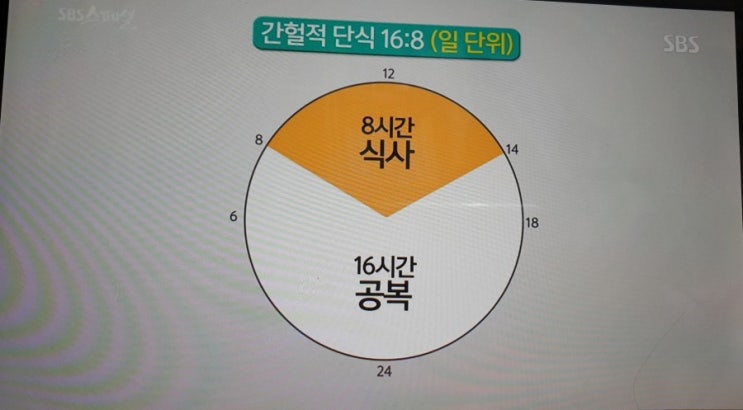  공복의 중요성 /간헐적단식 방법 /1일1식/다이어트