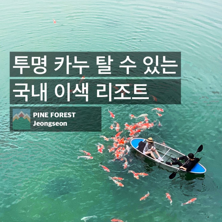  국내 여름 여행지 ! 투명 카누 탈 수 있는 국내 이색 리조트로~