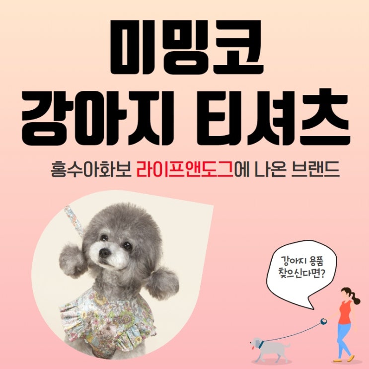 강아지티셔츠 미밍코 홍수아화보 라이프앤도그 보고 반함