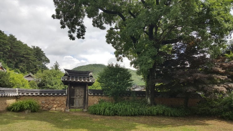  봉화명소 청암정,닭실마을,충재박물관 여행입니다.