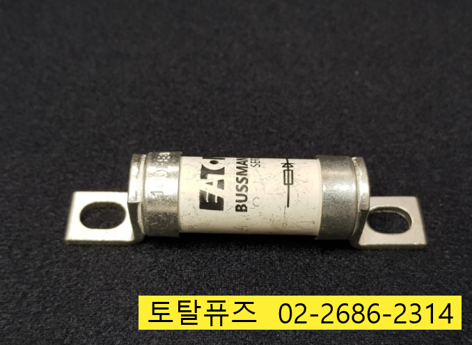  100FE / 100FEa / BUSSMANN100A690V BS88:4 700V  퓨즈 판매점