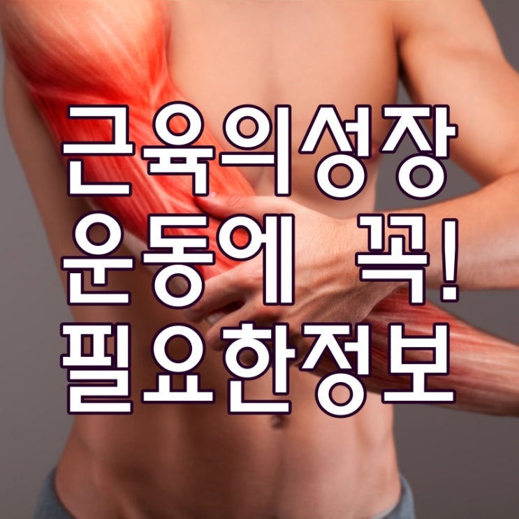  근육의 성장, 운동할 때 꼭 필요한 정보!