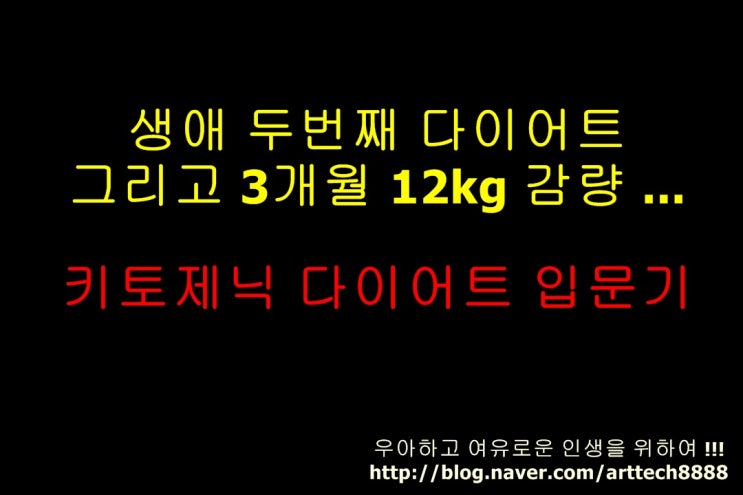 생애 두번째 다이어트 그리고 3개월 12kg 감량 ... 키토제닉 다이어트 입문기