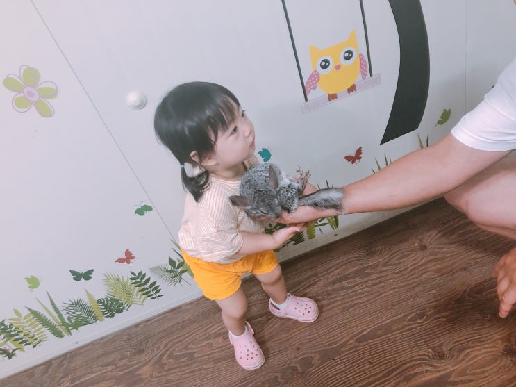  거제도 철이네 동물농장 아기랑 나들이 가기 좋은곳, 먹이주기 체험까지 쫄 하루씨랑