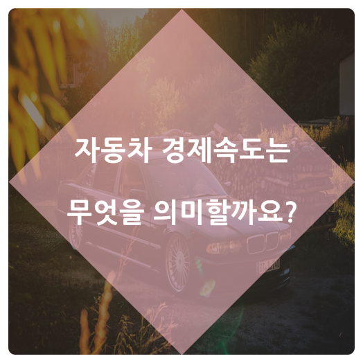 자동차 경제 속도 자동차 경제 속도