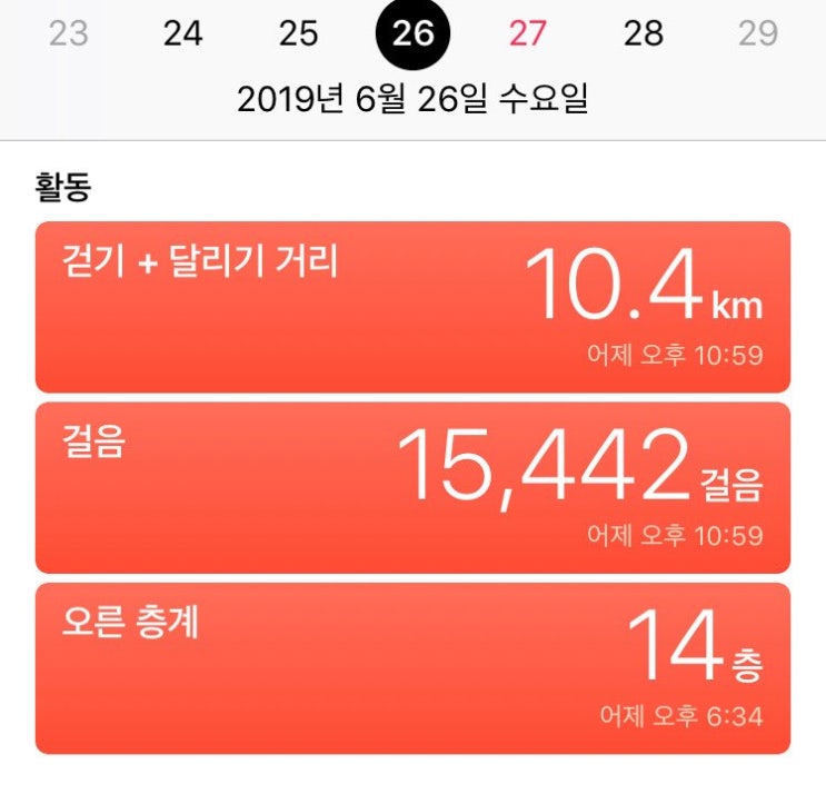 토론토 #7