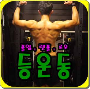  남자 등운동 루틴 풀업으로 등 넓어지는 운동