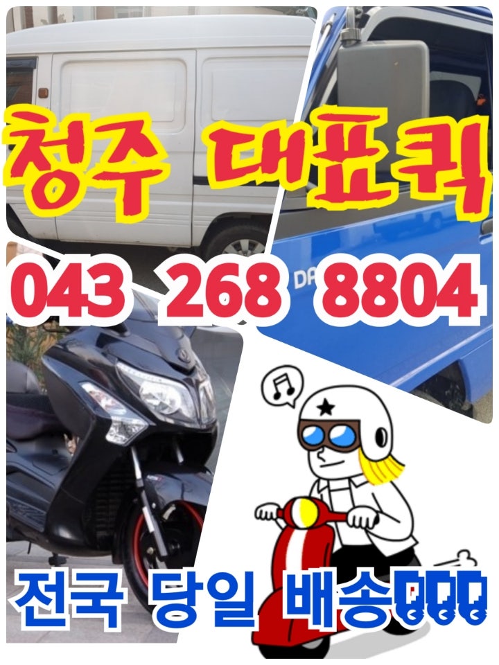 청주 교직원 인사이동 화분 선물 배송비 무료 배달영전 승진 축하 취임 식물 5만원