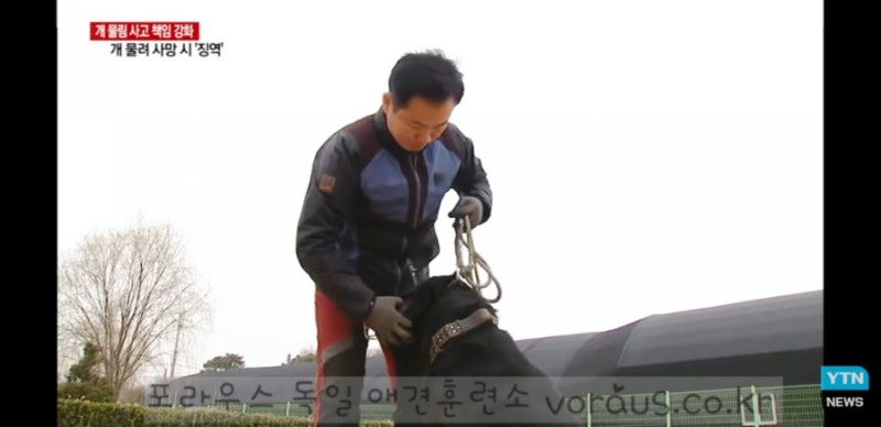 사진 4