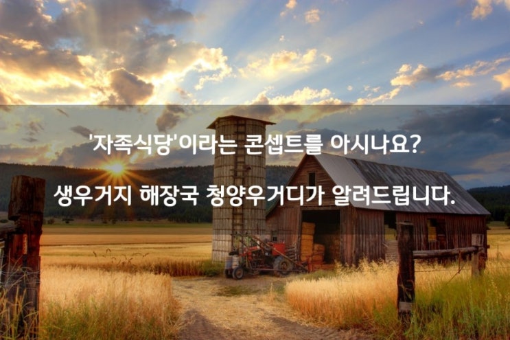  [자족식당 청양 우거디] 생우거지 해장국 & 청양냉면