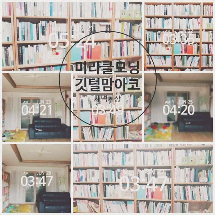  미라클모닝 269일째(~6/27) 새벽루틴에서 행복을 느끼는 요즘.