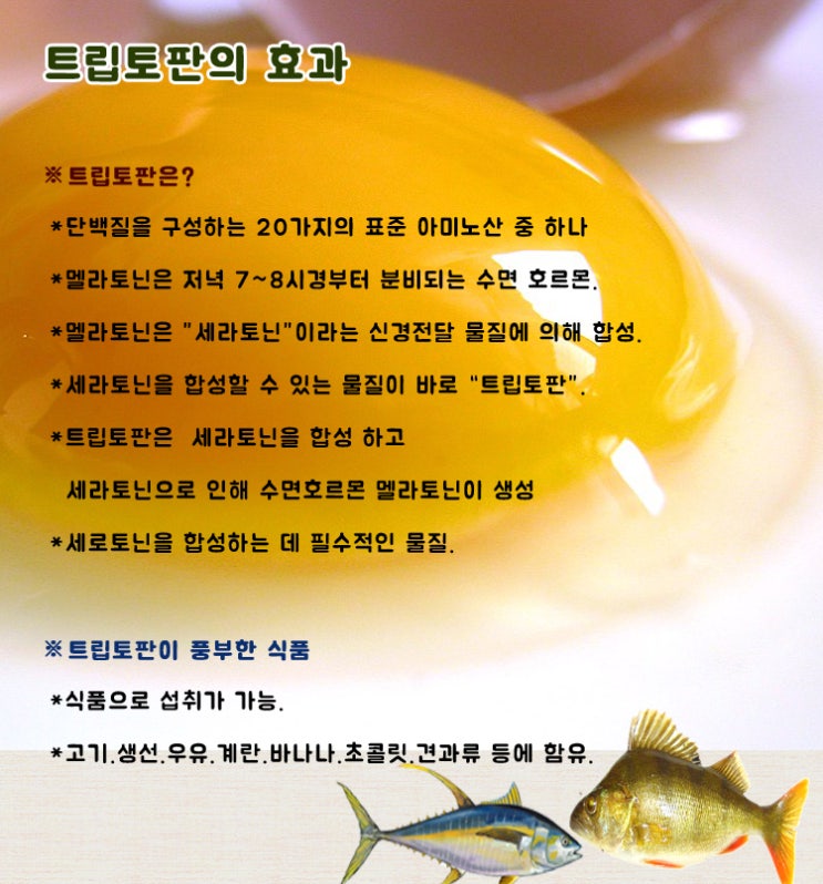  트립토판의 효과