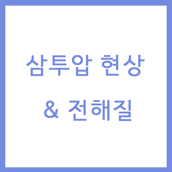 삼투압 현상&전해질 / 김포 구래동 필라테스,헬스장 터닝포인트짐 구래점