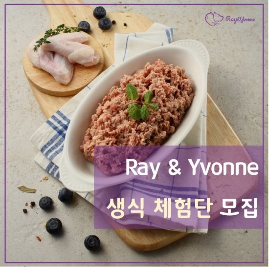  레이앤이본 프리미엄 고양이 생식 20인의 체험단 이벤트 :: 인스타그램에서 신청하세요! 