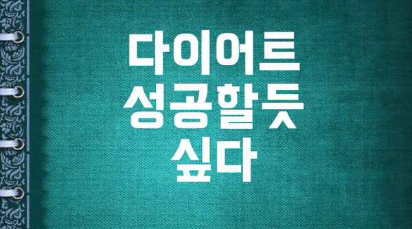  다이어트성공 성공하고있다?!