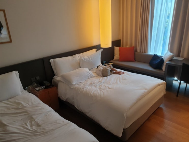  안락한 비즈니스 호텔 신라스테이 제주 가족여행 첫 숙소! 조식 굳!