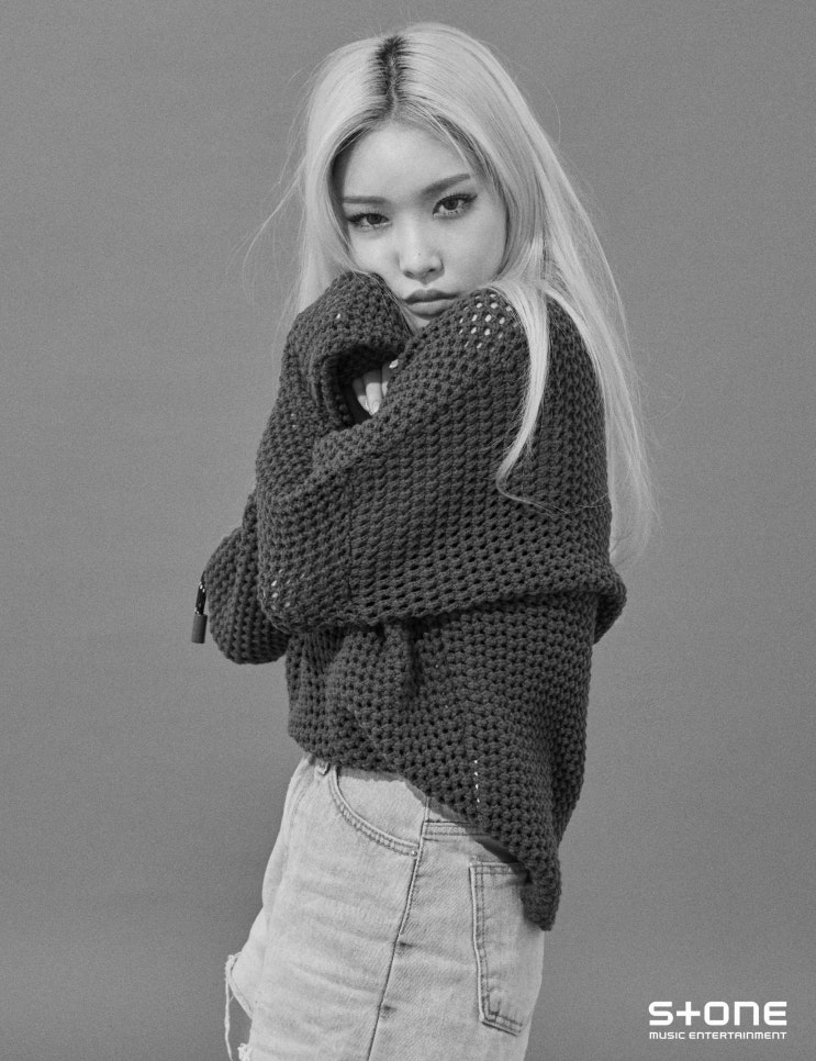  청하