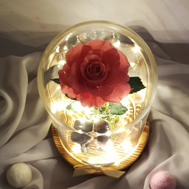  프리저브드플라워 캔디핑크장미 한송이장미유리돔 생일선물 기념일선물 용인흥덕꽃집 용인프리저브드