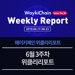  6월 3주차 웨이키체인 위클리리포트