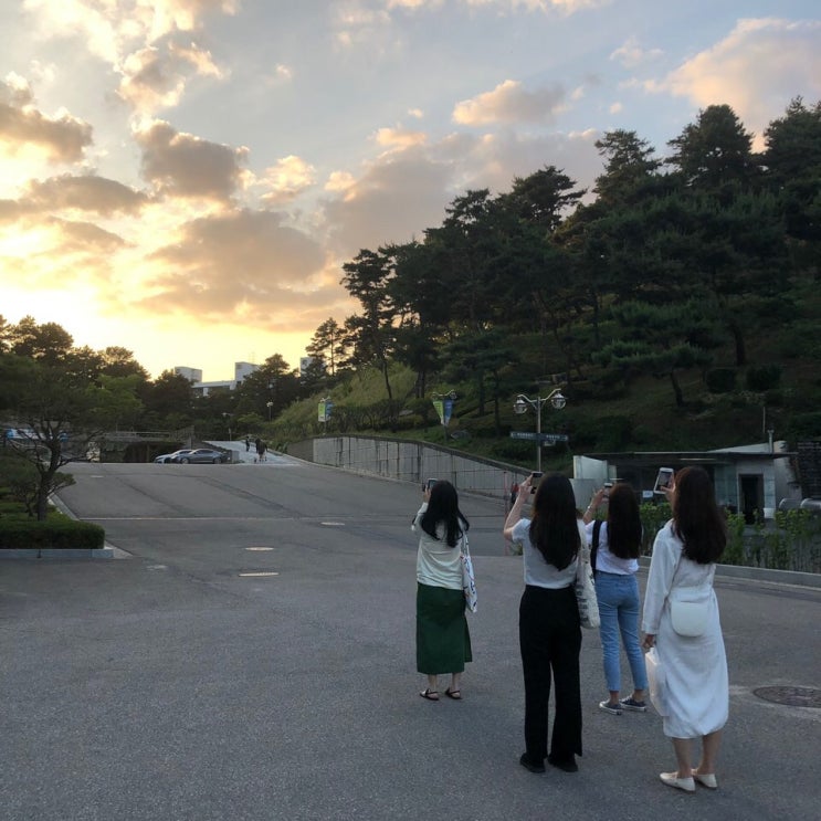  2019 유월